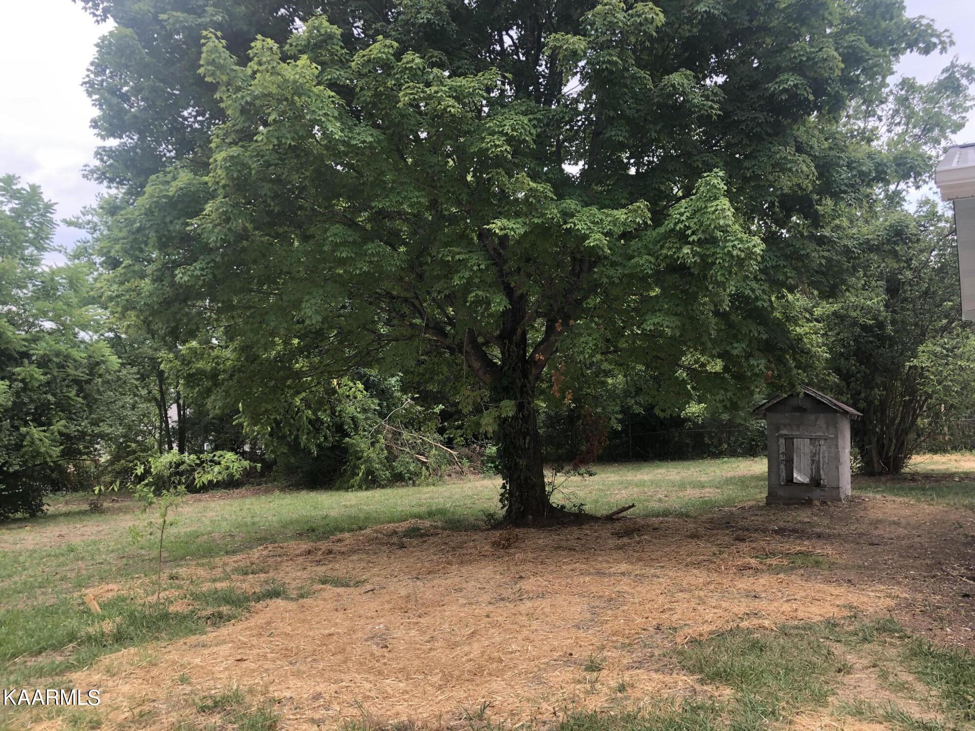 4830 East Emory Road Knoxville, TN 37938 - Photo 17 of 19 Backyard 1