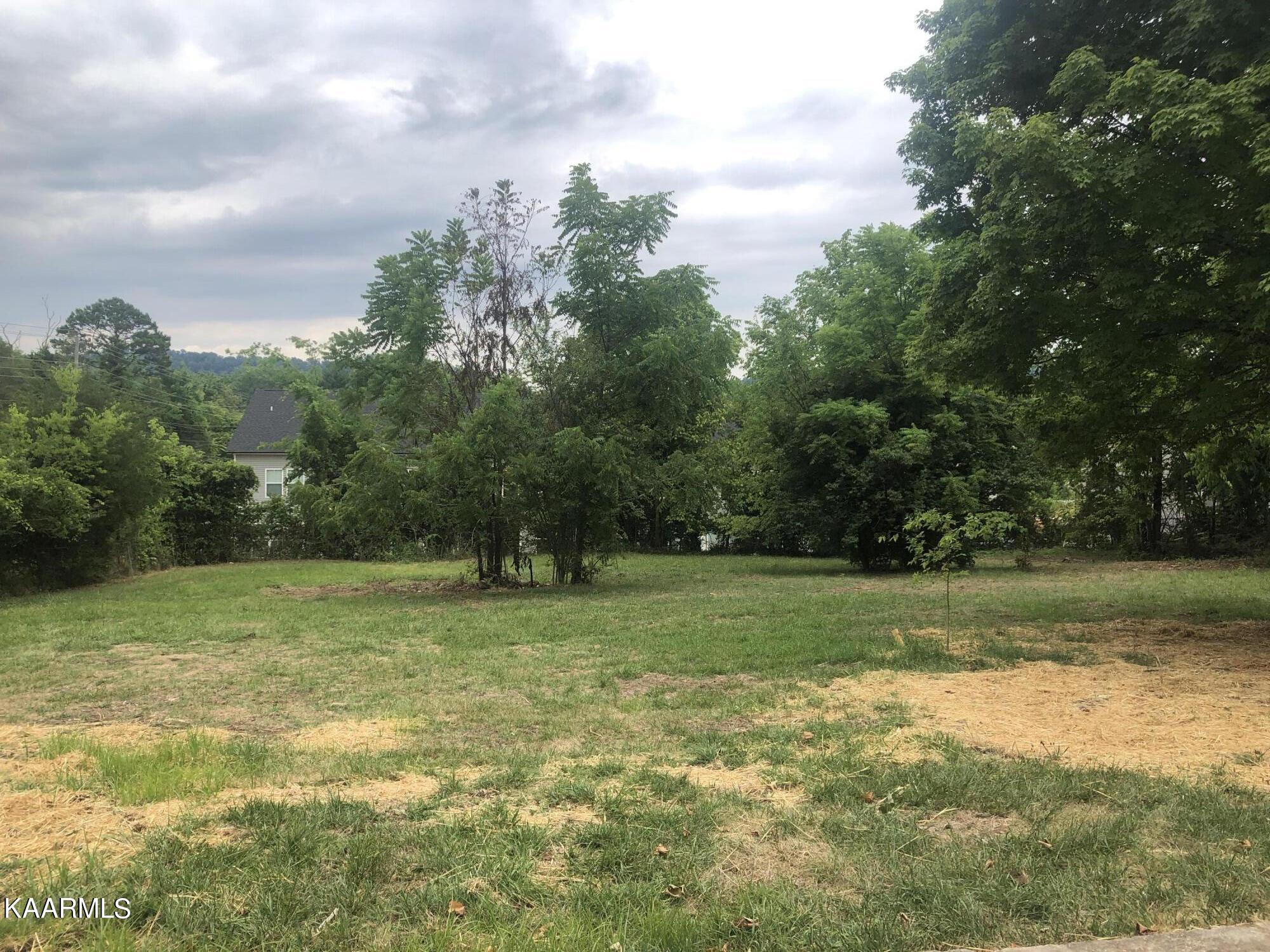 4830 East Emory Road Knoxville, TN 37938 - Photo 18 of 19 backyard 2