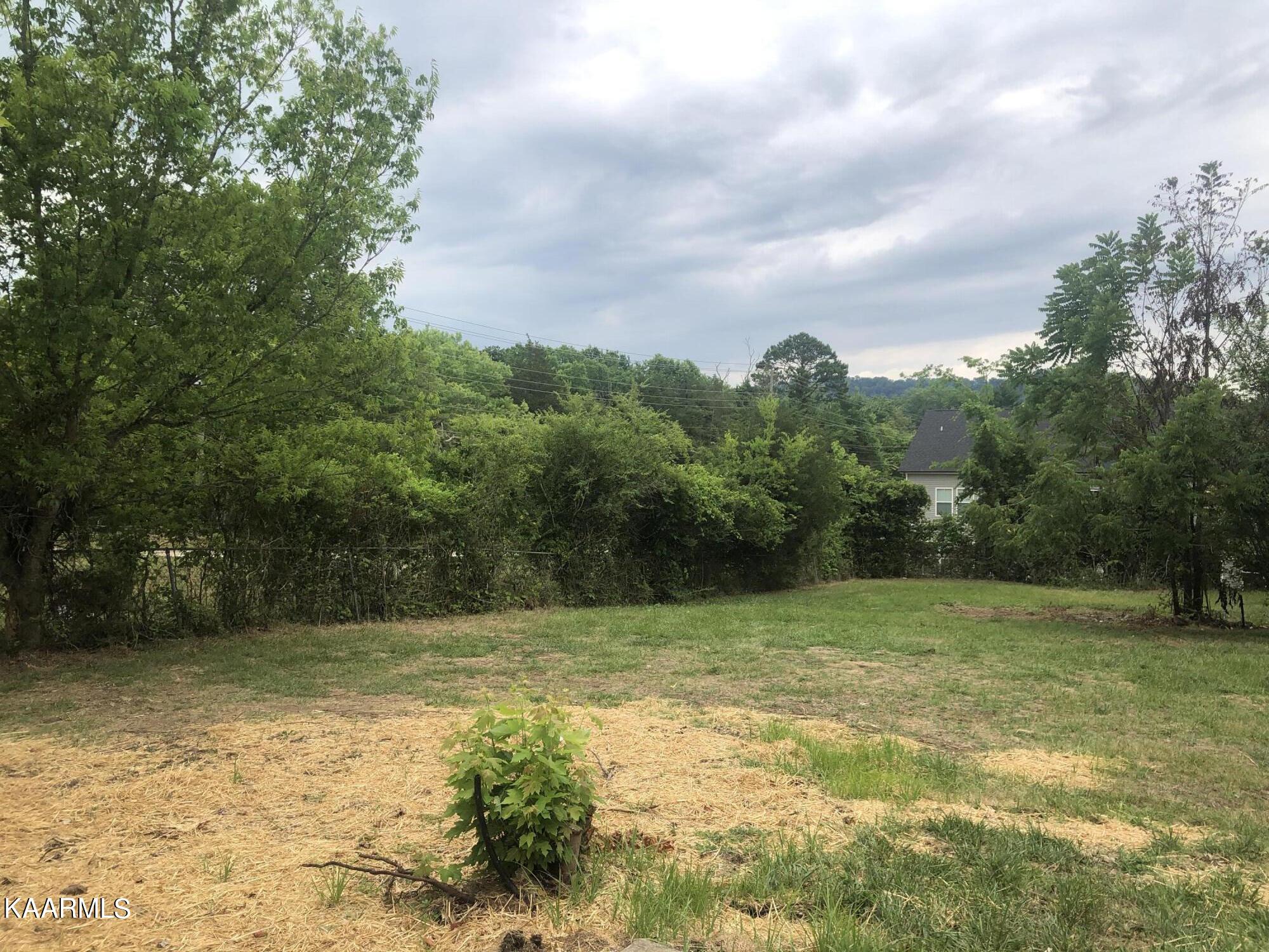 4830 East Emory Road Knoxville, TN 37938 - Photo 19 of 19 backyard 3