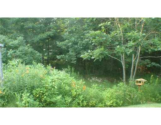 48 River Road Tenants Harbor, ME 04860 - Photo 15 of 16 Yard/Garden.