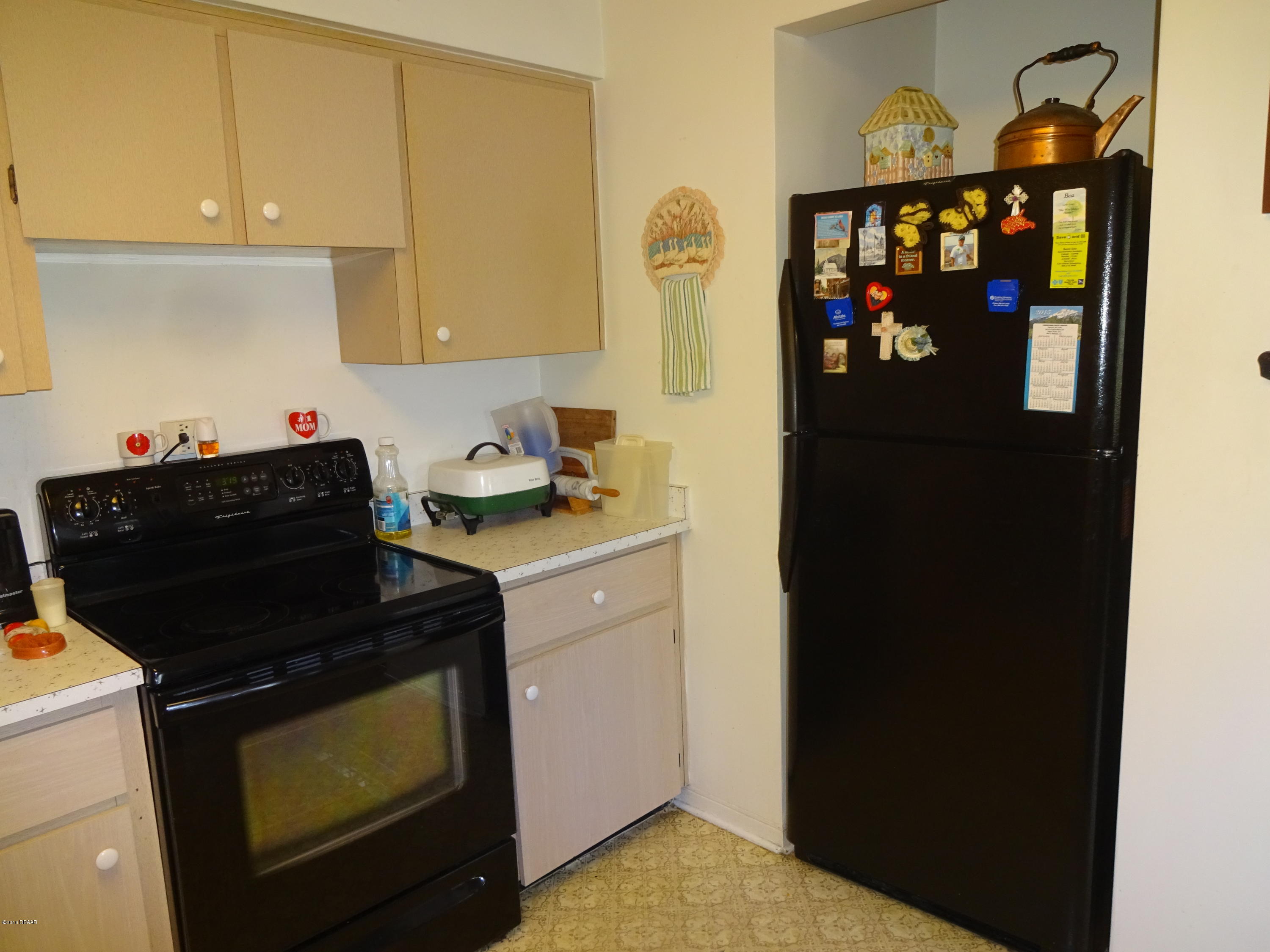 710 Big Tree Road South Daytona, FL 32119 - Photo 4 of 17 DSC06678