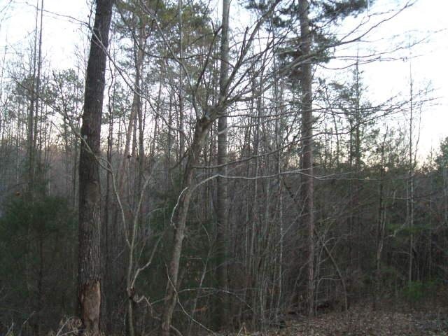 0 Old Mize Road Toccoa, GA 30577 - Photo 1 of 1