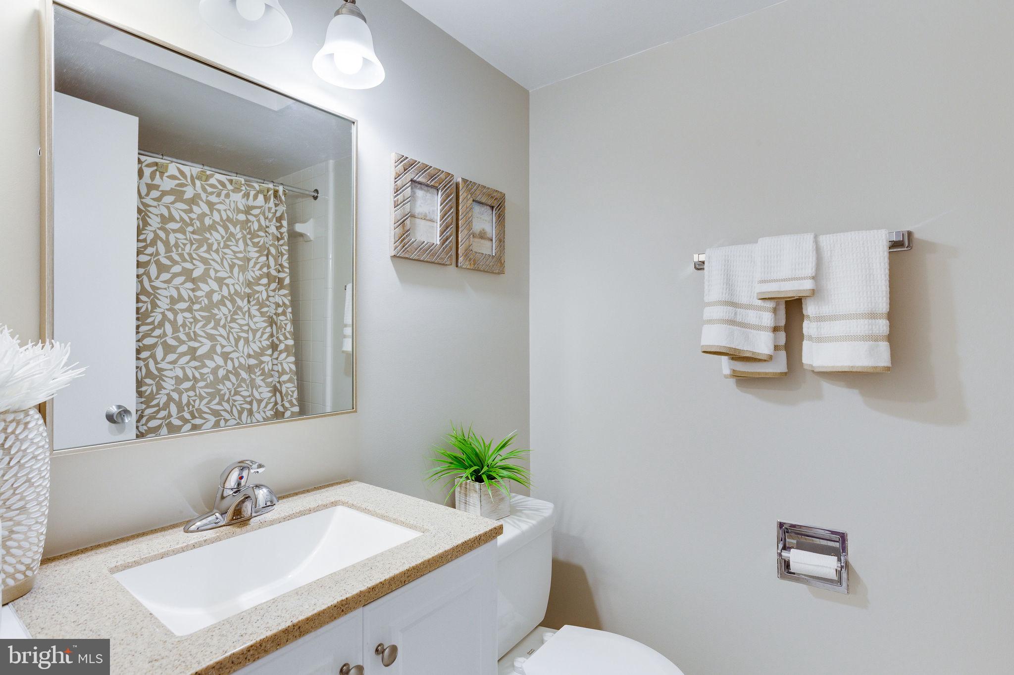 1833 Batten Hollow Road Vienna, VA 22182 - Photo 43 of 52 Lower Level Full Bath