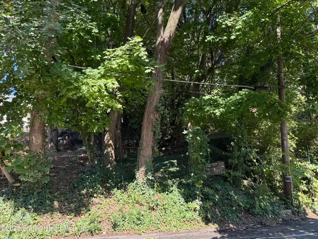 a view of a tree with a tree