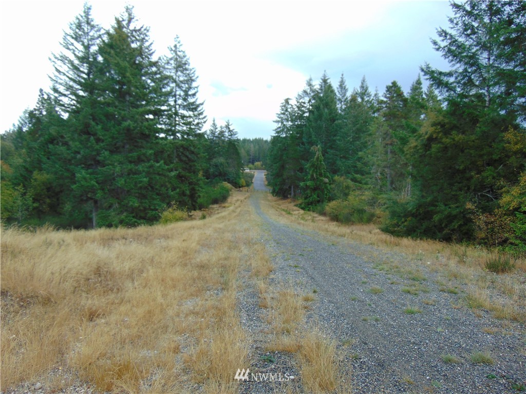 6-acres East Capital Prairie Road Shelton, WA 98584 - Photo 1 of 3 Gallery Image 1