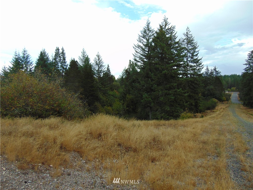 6-acres East Capital Prairie Road Shelton, WA 98584 - Photo 2 of 3 Gallery Image 2