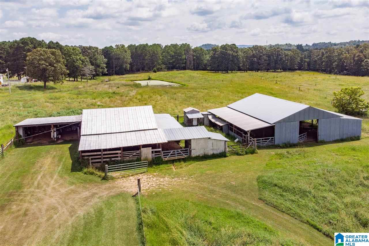 654 Mitchellville Road Ohatchee, AL 36271 - Photo 35 of 41