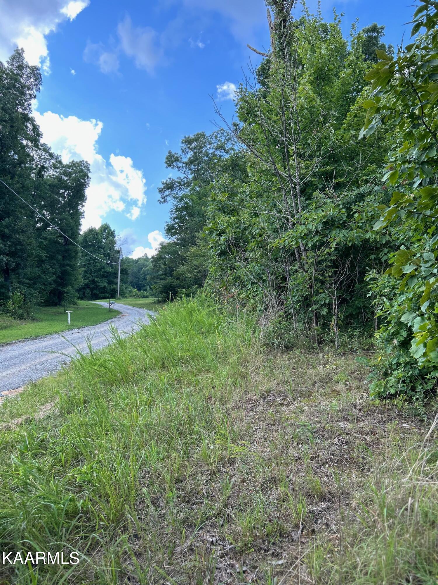 16-acres Raccoon Ridge Road Spring City, TN 37381 - Photo 1 of 12 IMG_2303
