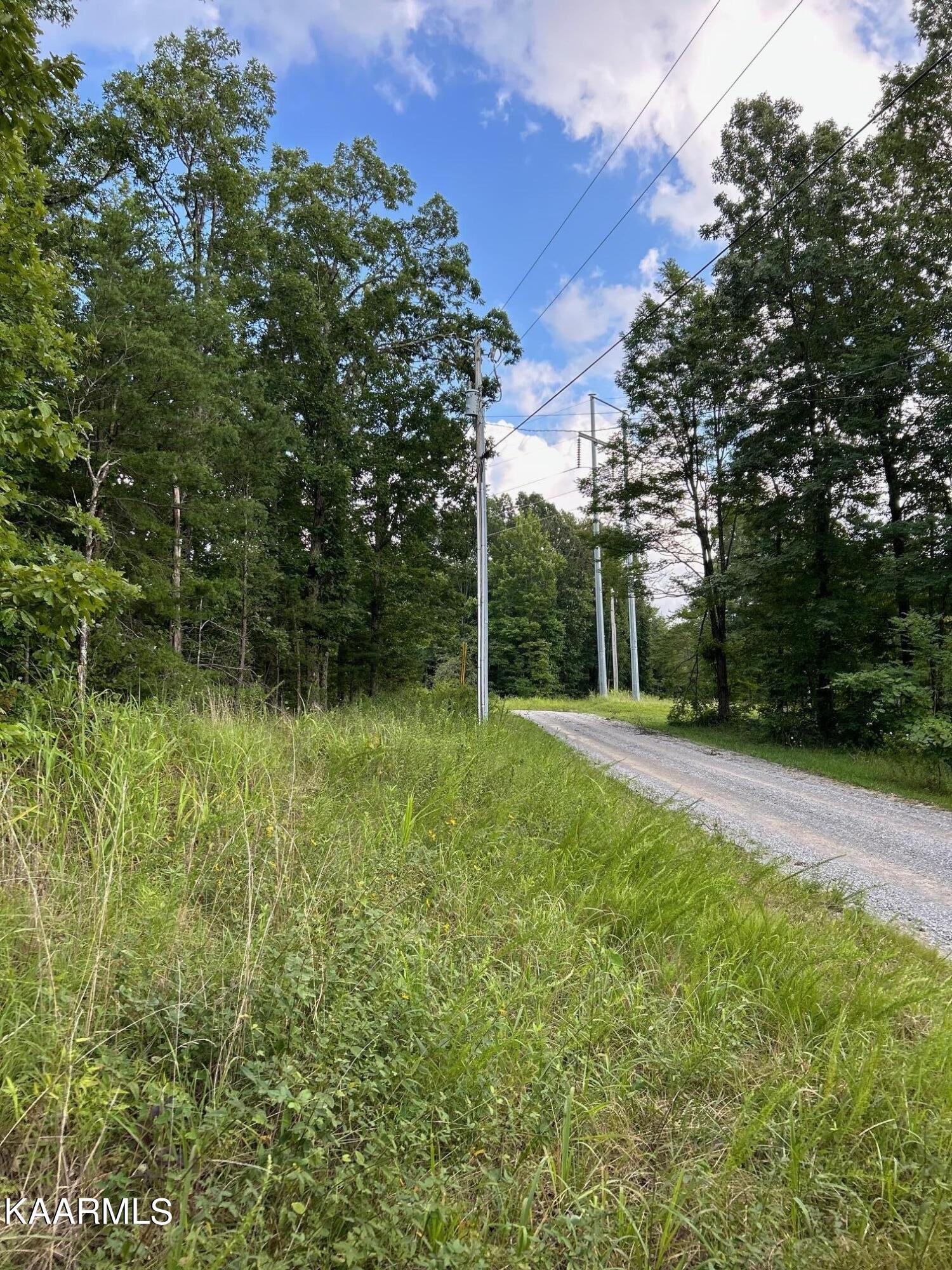 16-acres Raccoon Ridge Road Spring City, TN 37381 - Photo 2 of 12 IMG_2302
