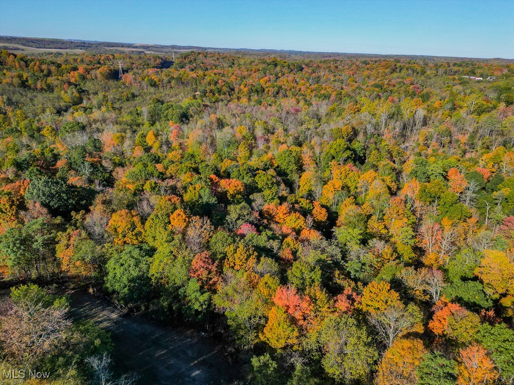 Flint Ridge Road Northeast Crooksville, OH 43731 - Photo 24 of 25 Aerial view