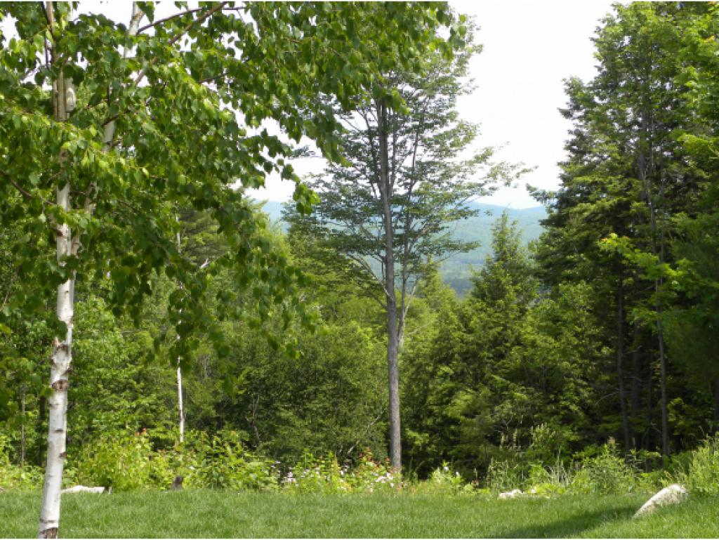 9 Dodge Road, Unit 9 Plymouth, NH 03264 - Photo 5 of 24