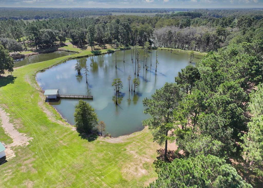 1197 Vonier Road Pavo, GA 31778 - Photo 97 of 107 Gallery Image 97