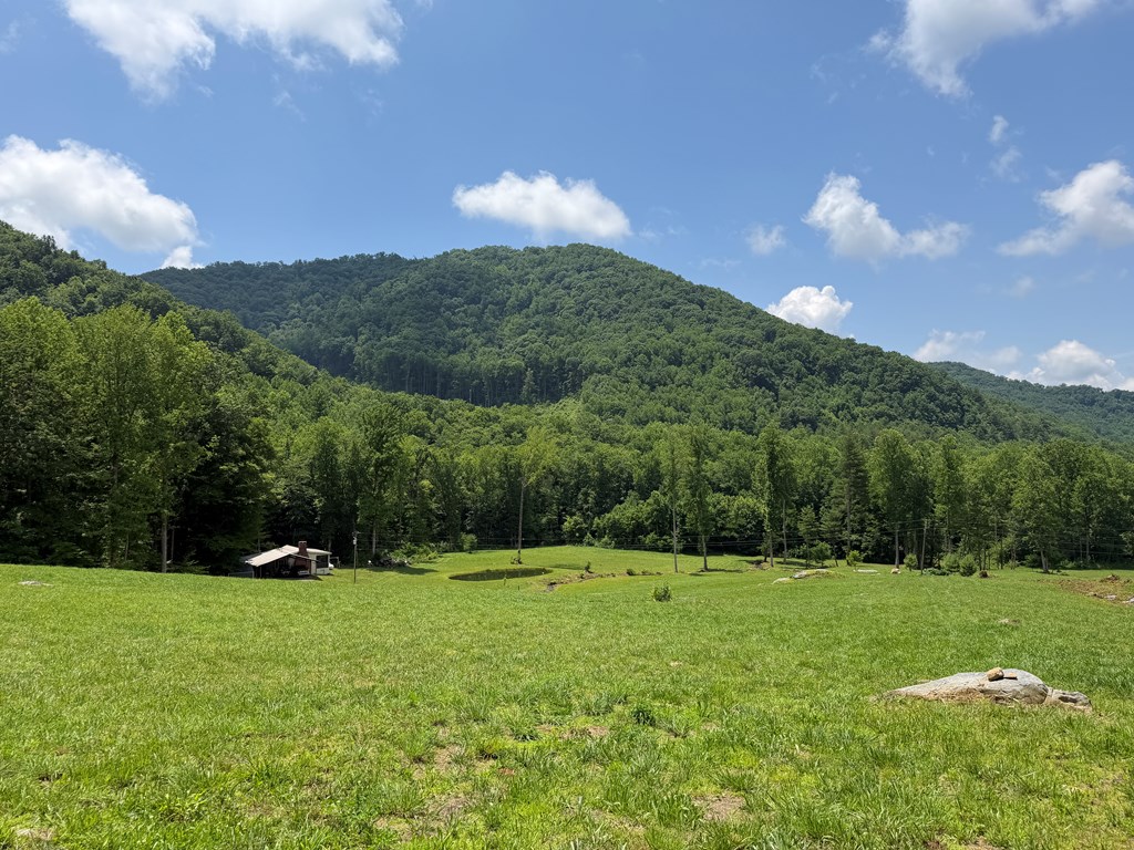 1446 Muskrat Creek Road Hayesville, NC 28904 - Photo 88 of 108