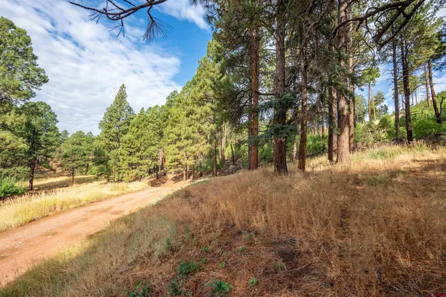 $440,000 | 57 Pine Drive, Bayfield, CO 81122