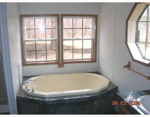 1024 Palmer Road Mercer, PA 16137 - Photo 7 of 8 Master Bath/Spa.