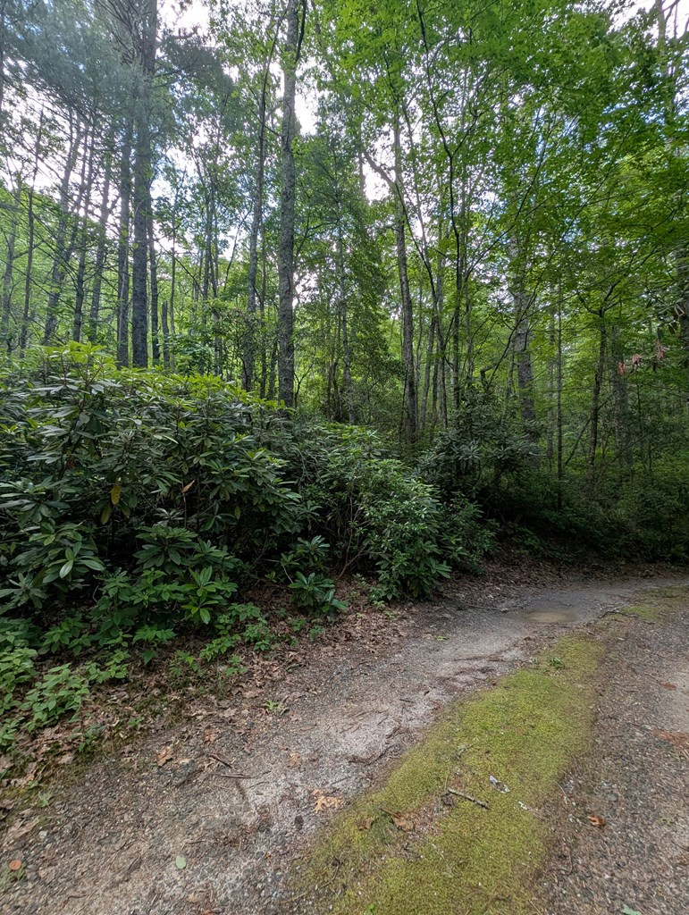 0 Flintlock Road Cullowhee, NC 28723 - Photo 4 of 10 Gallery Image 4