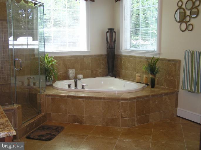4215 Whitacre Road Fairfax, VA 22032 - Photo 22 of 30 Bath (Master)