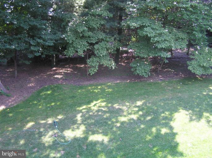 4215 Whitacre Road Fairfax, VA 22032 - Photo 30 of 30 Exterior (Rear)