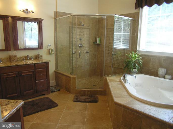 4215 Whitacre Road Fairfax, VA 22032 - Photo 9 of 30 Bath (Master)