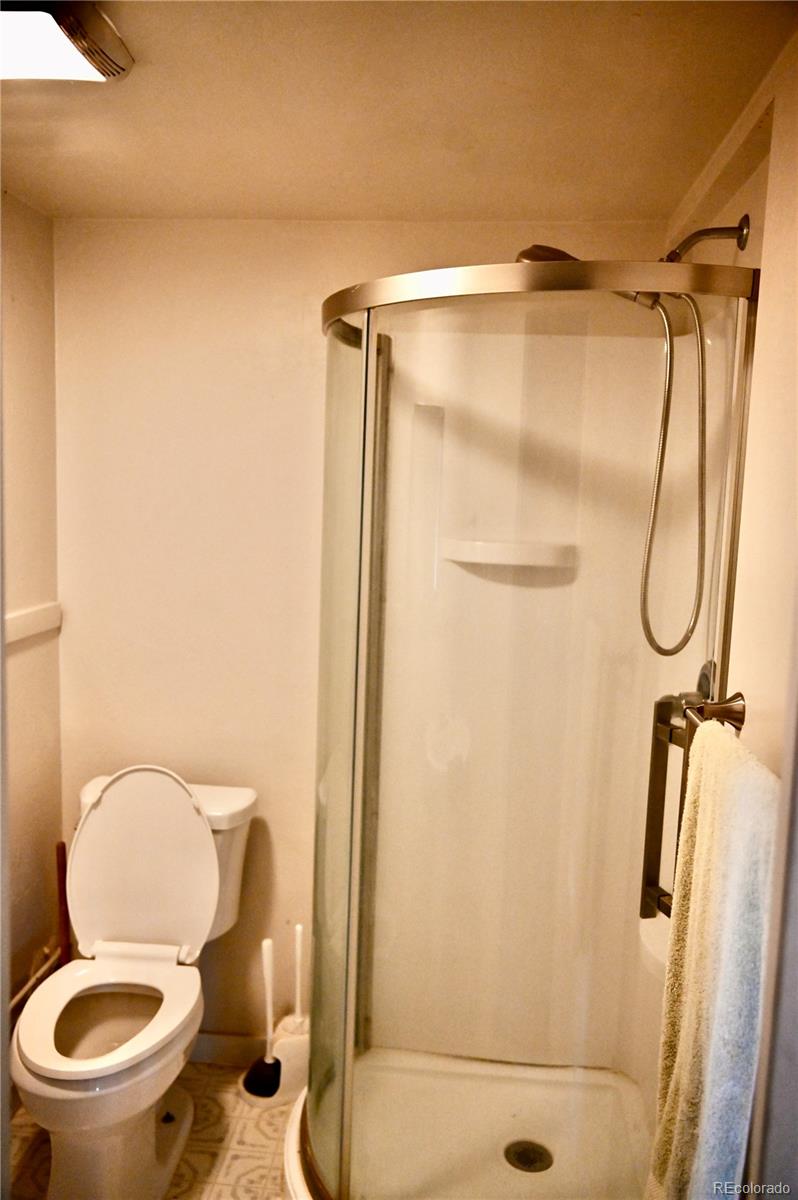 1516 Heeney Road Silverthorne, CO 80498 - Photo 13 of 16 a bathroom with a toilet and a shower