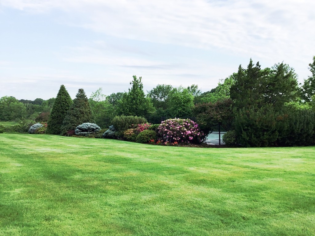 255 Country Club Road Dedham, MA 02026 - Photo 26 of 29 Gallery Image 26
