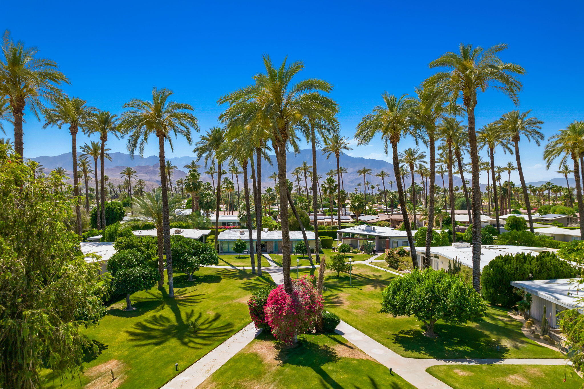 70418 Tamarisk Lane Rancho Mirage, CA 92270 - Photo 11 of 41 a view of a swimming pool with a garden