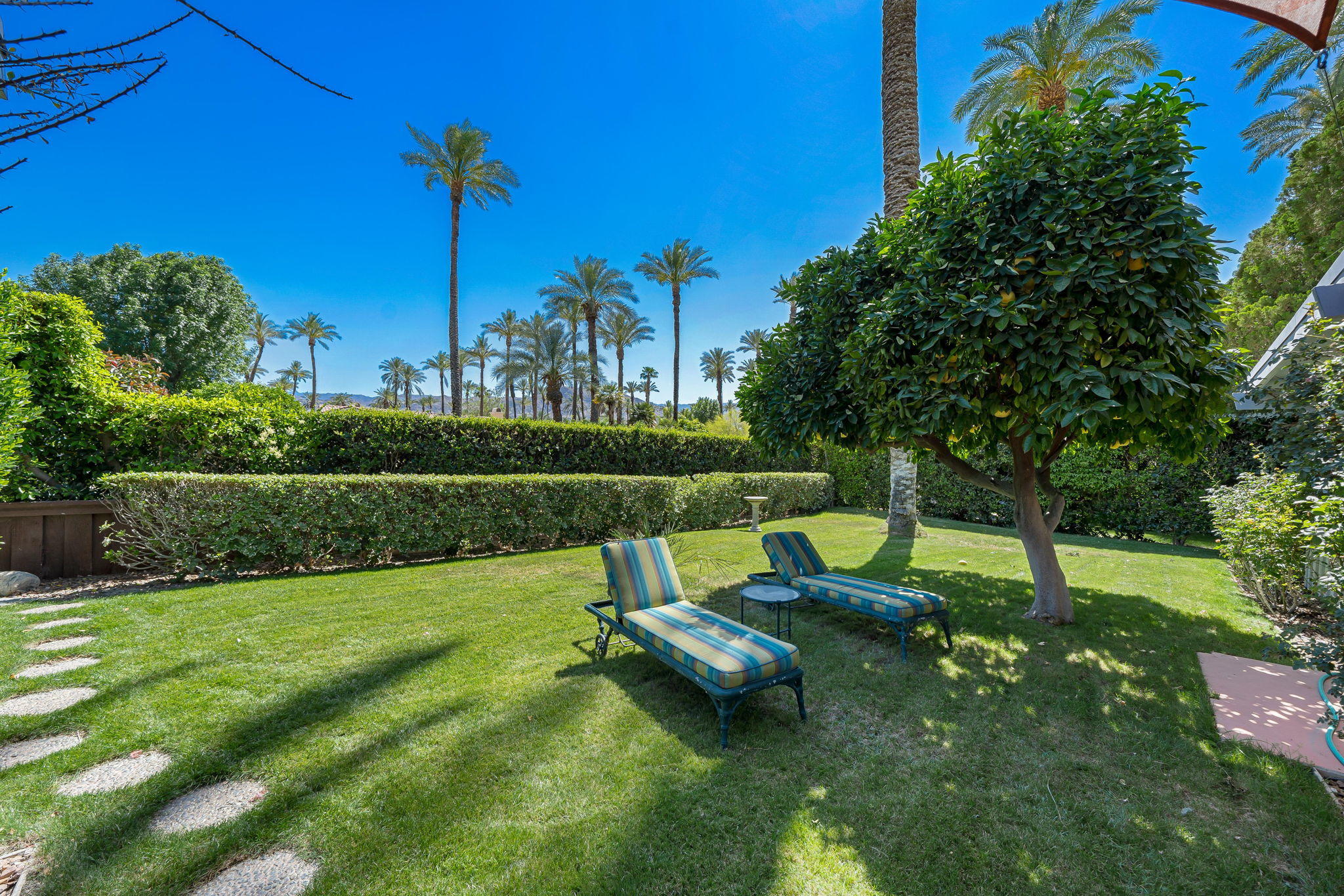 70418 Tamarisk Lane Rancho Mirage, CA 92270 - Photo 16 of 41 a view of a garden with a slide