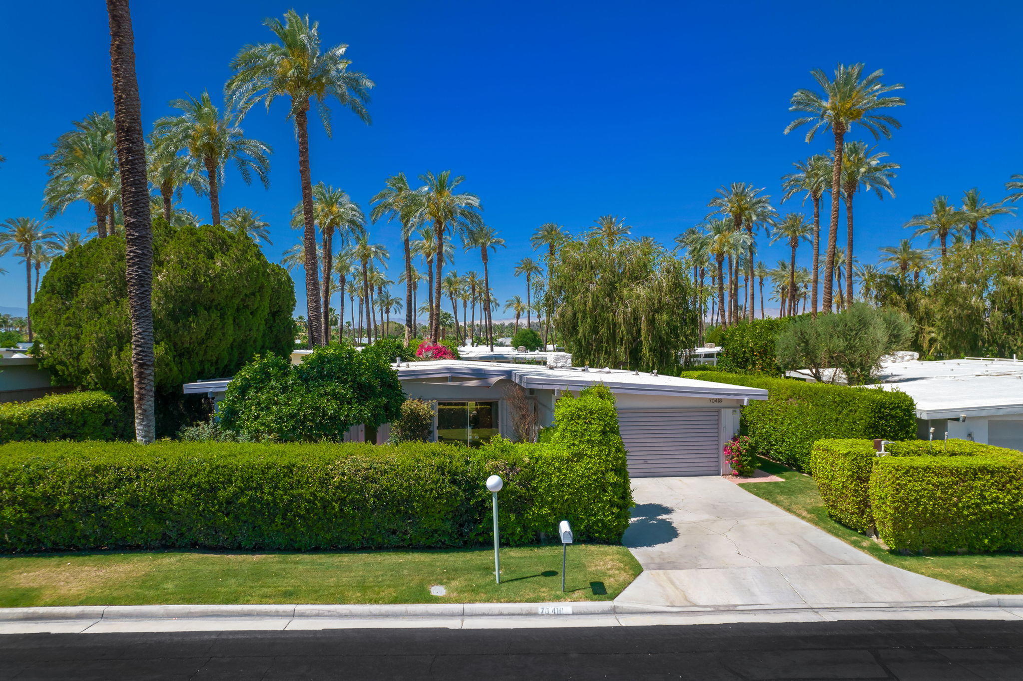 70418 Tamarisk Lane Rancho Mirage, CA 92270 - Photo 3 of 41 a view of a yard with palm trees