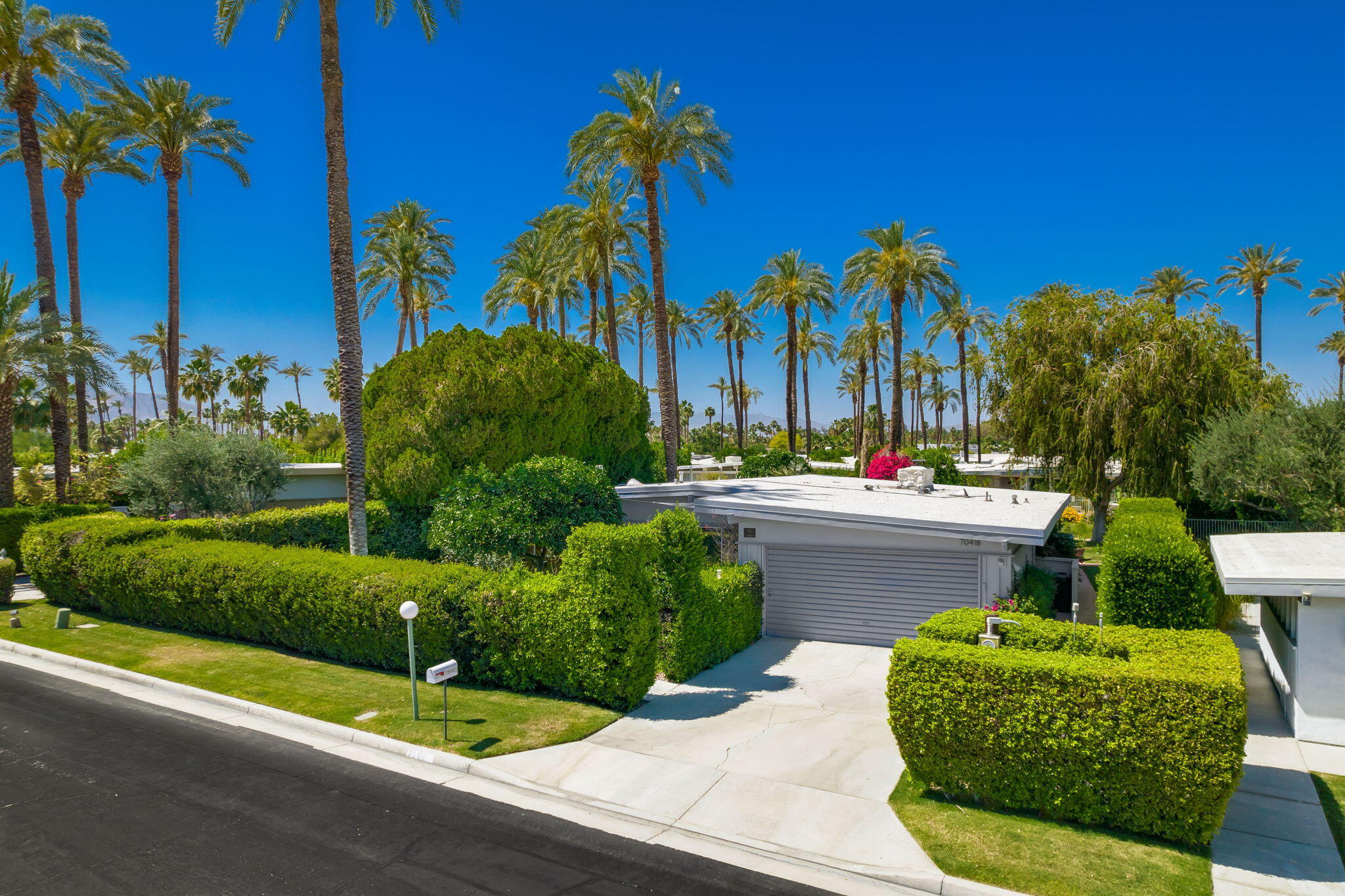 70418 Tamarisk Lane Rancho Mirage, CA 92270 - Photo 5 of 41 a view of a yard with plants and palm tree