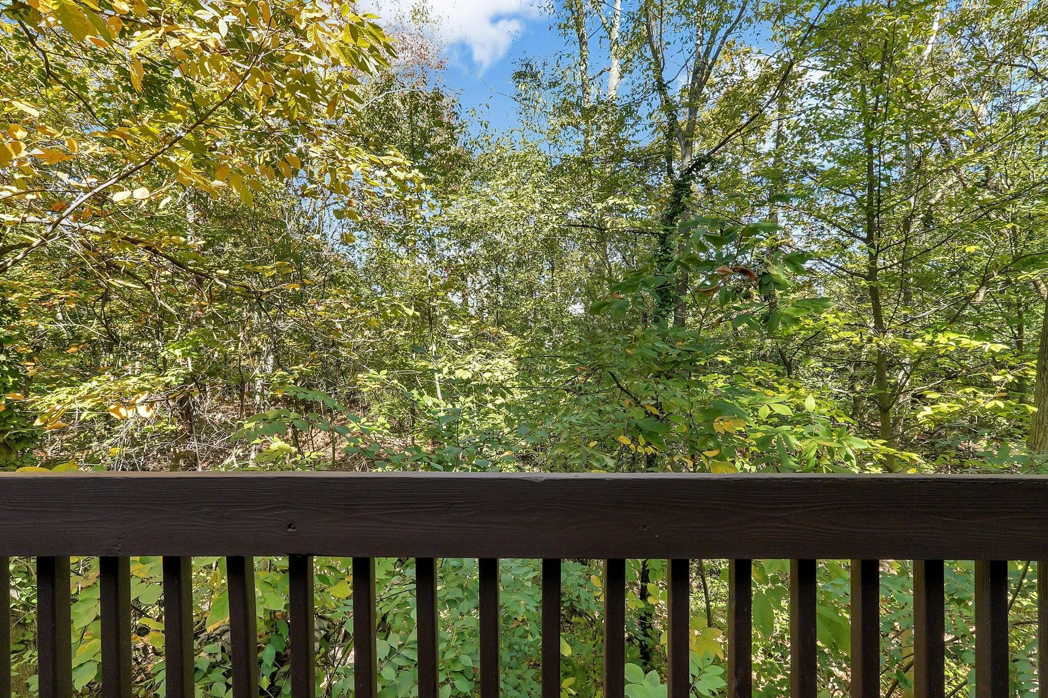 3766 Canon Ridge Place Columbus, OH 43230 - Photo 21 of 22 Canon.ViewOfRavine