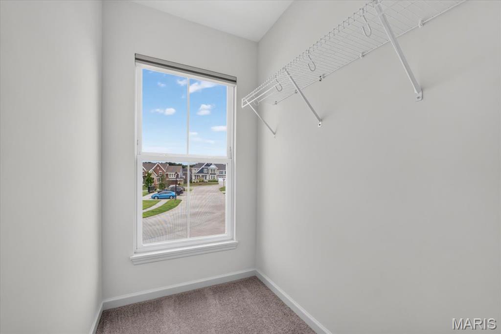 906 Memsie Pk Court O'Fallon, MO 63368 - Photo 41 of 50 Gallery Image 41
