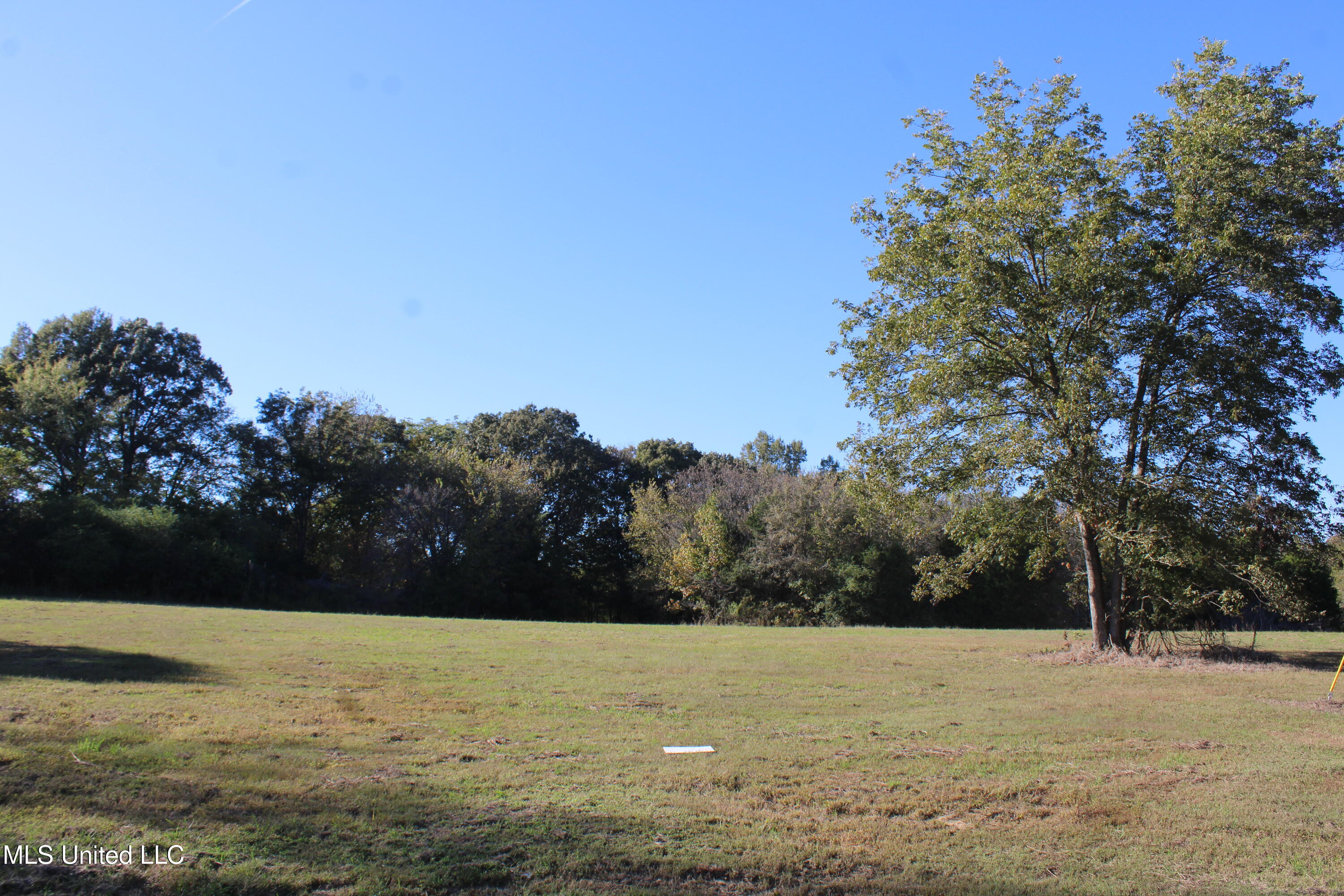 113 Bull Horn Road Como, MS 38619 - Photo 1 of 21 land