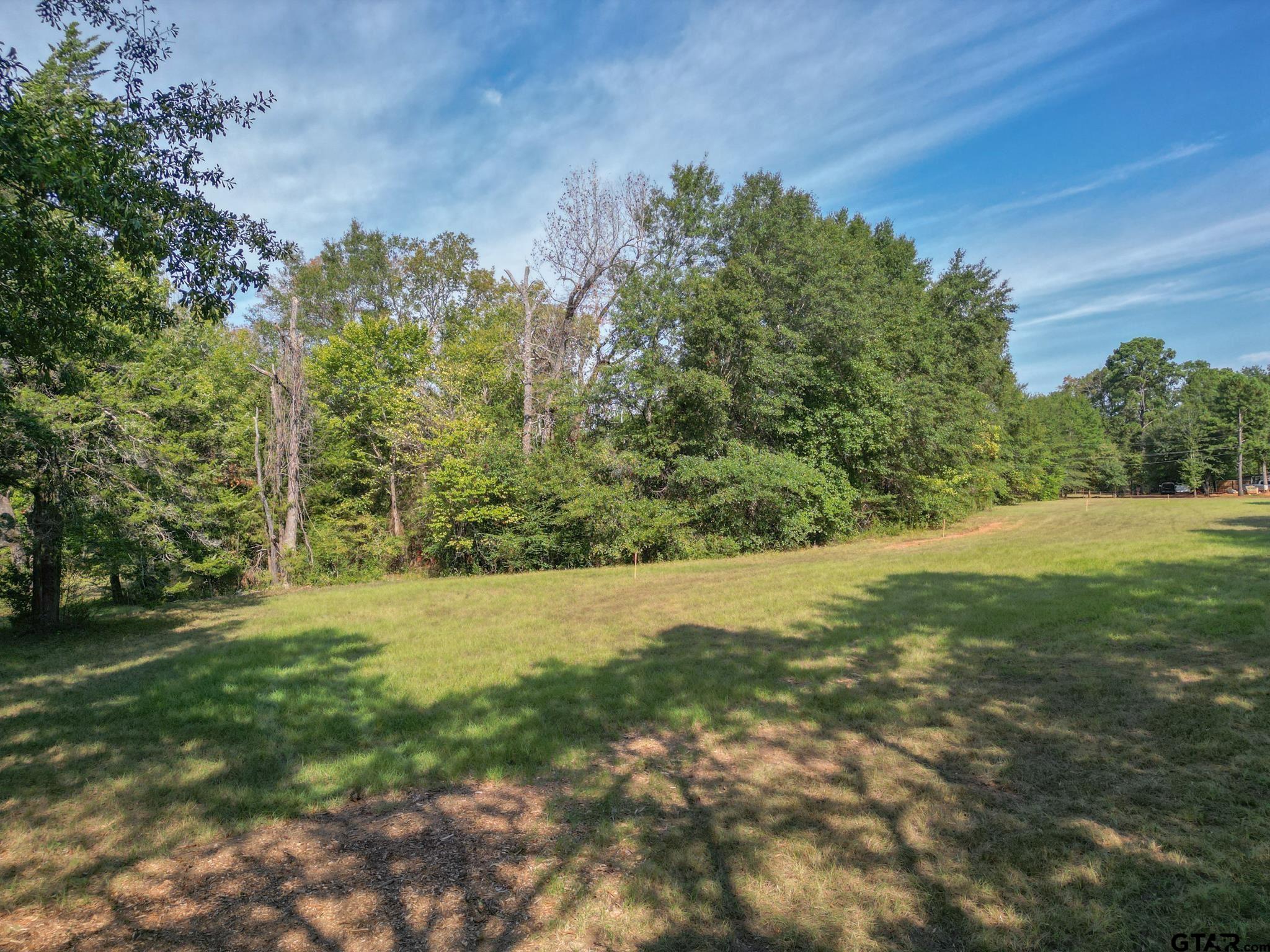 Lot 3 Willingham Road Whitehouse, TX 75791 - Photo 5 of 12 Gallery Image 5