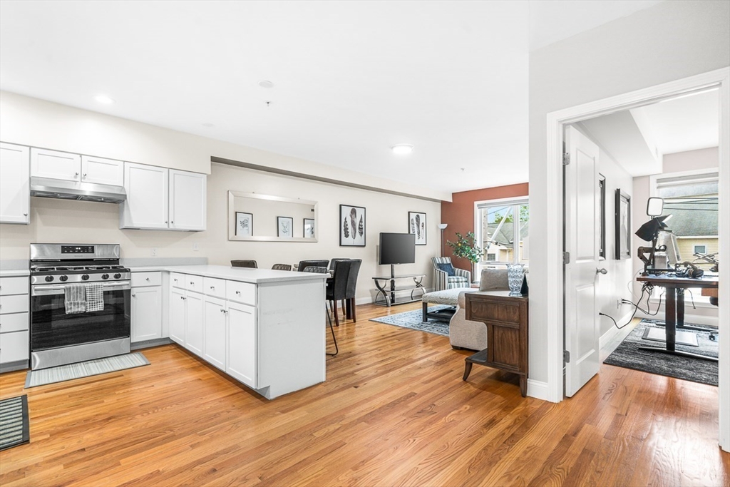 15 Guild Street, Unit 302 Boston, MA 02119 - Photo 4 of 25