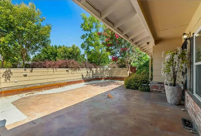 a view of a backyard