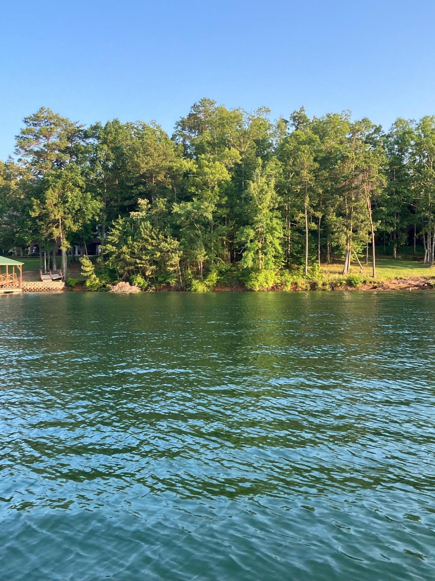 48 Stoney Point Road North Double Springs, AL 35553 - Photo 17 of 24 Gallery Image 17