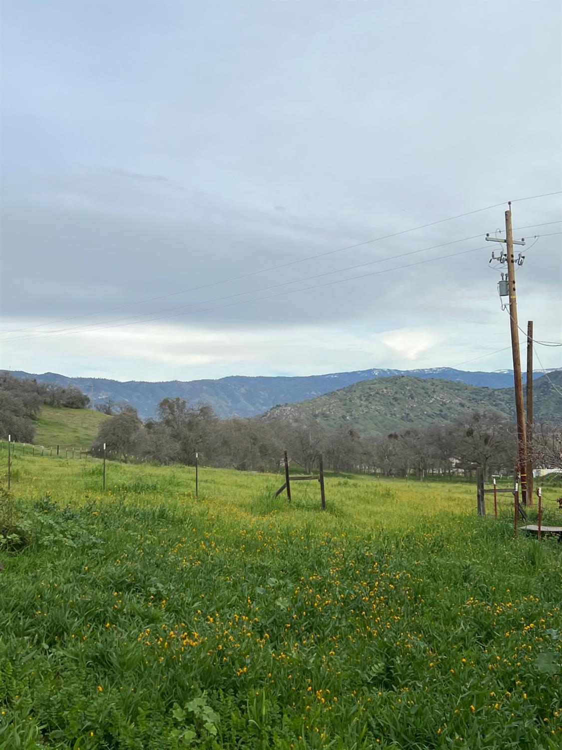 30284 Bear Mountain Road Squaw Valley, CA 93675 - Photo 32 of 62