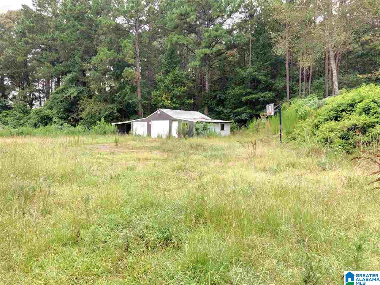 2095 Warrior Jasper Road Warrior, AL 35180 - Photo 1 of 14