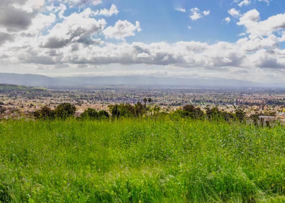a view of a city with lush green forest