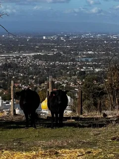 $3,125,000 | 4234 Chaboya Road, San Jose, CA 95135