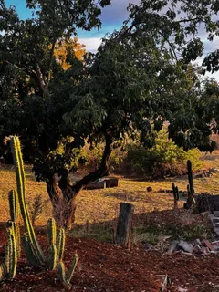 $3,125,000 | 4234 Chaboya Road, San Jose, CA 95135