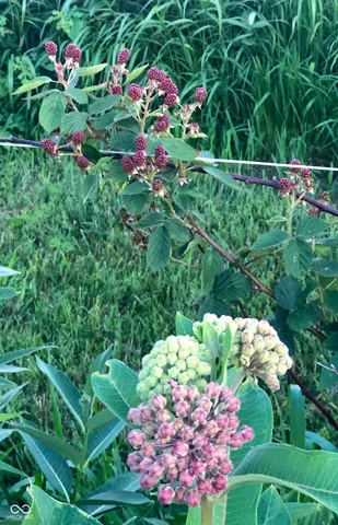 $867,000 | 3109 South Co Road 1050 West, Greensburg, IN 47240