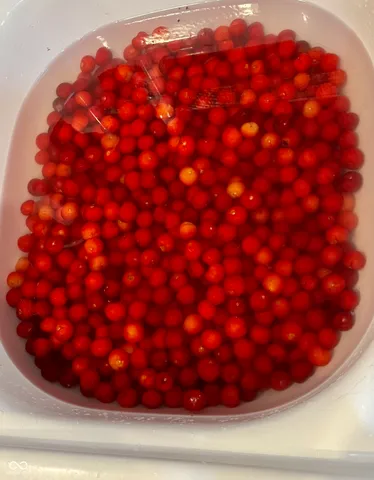 $867,000 | 3109 South Co Road 1050 West, Greensburg, IN 47240