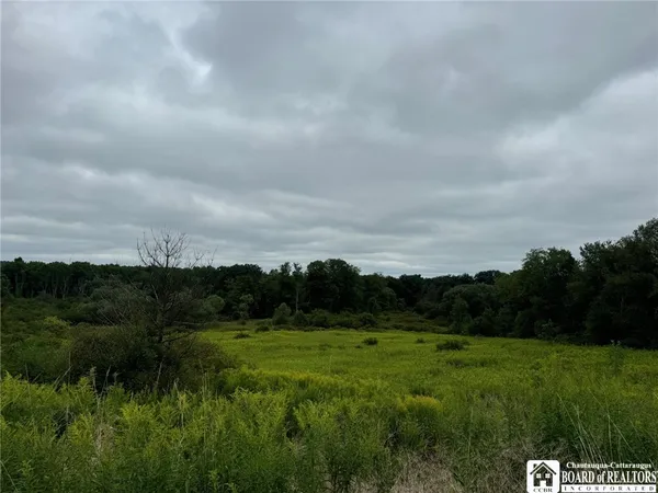 $45,000 | 3732-falconer Kimble Stan 3732-falconer Kimble Stan Falconer Kimball Stand Road, Falconer, NY 14733