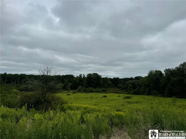 $55,000 | 3732-falconer Kimble Stan 3732-falconer Kimble Stan Falconer Kimball Stand Road, Falconer, NY 14733