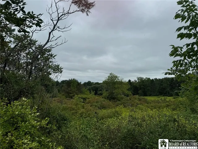 $55,000 | 3732-falconer Kimble Stan 3732-falconer Kimble Stan Falconer Kimball Stand Road, Falconer, NY 14733