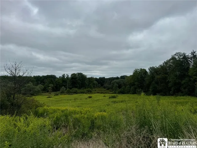 $55,000 | 3732-falconer Kimble Stan 3732-falconer Kimble Stan Falconer Kimball Stand Road, Falconer, NY 14733