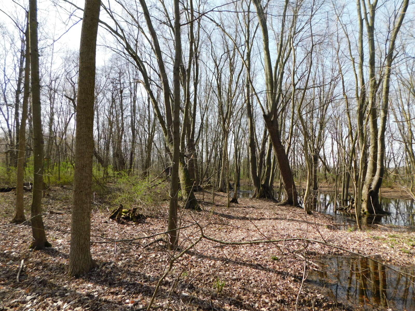 1976 Townline Road Benton Harbor, MI 49022 - Photo 18 of 28 DSCN7107