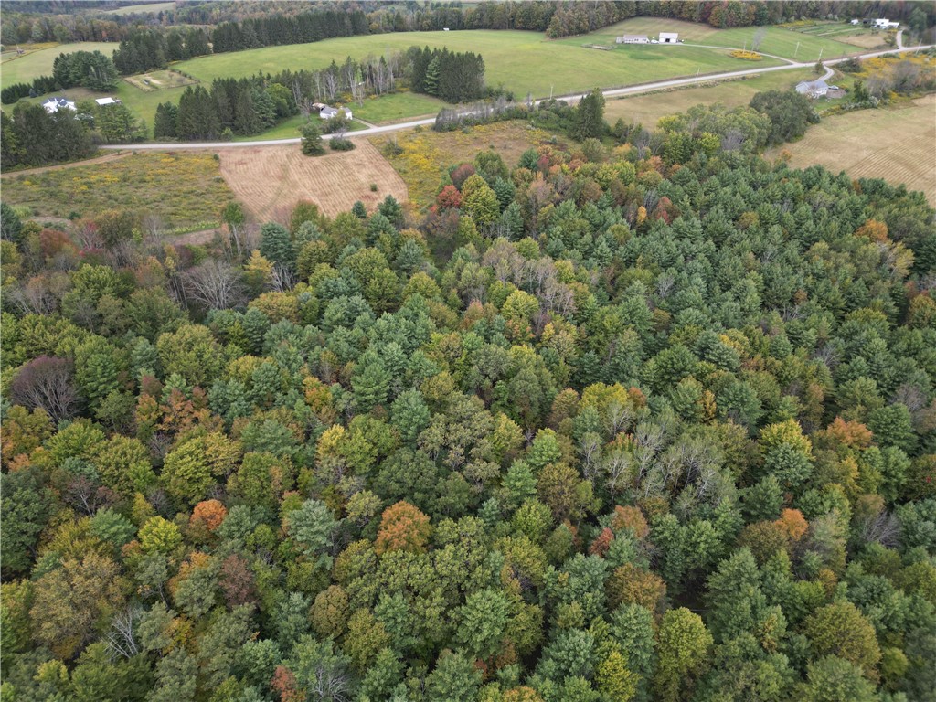 330 Tallow Hill Road Spencer, NY 14883 - Photo 21 of 24 Gallery Image 21