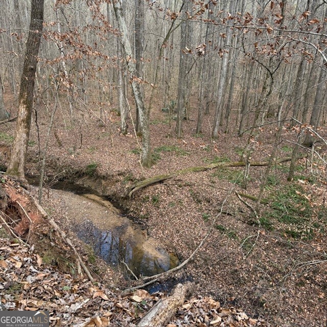 198-acres Dennis Creek Road Talbotton, GA 31827 - Photo 11 of 35 a view of a dry yard with trees